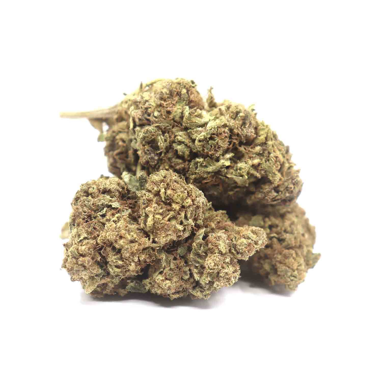 Diesel-cough-Finished