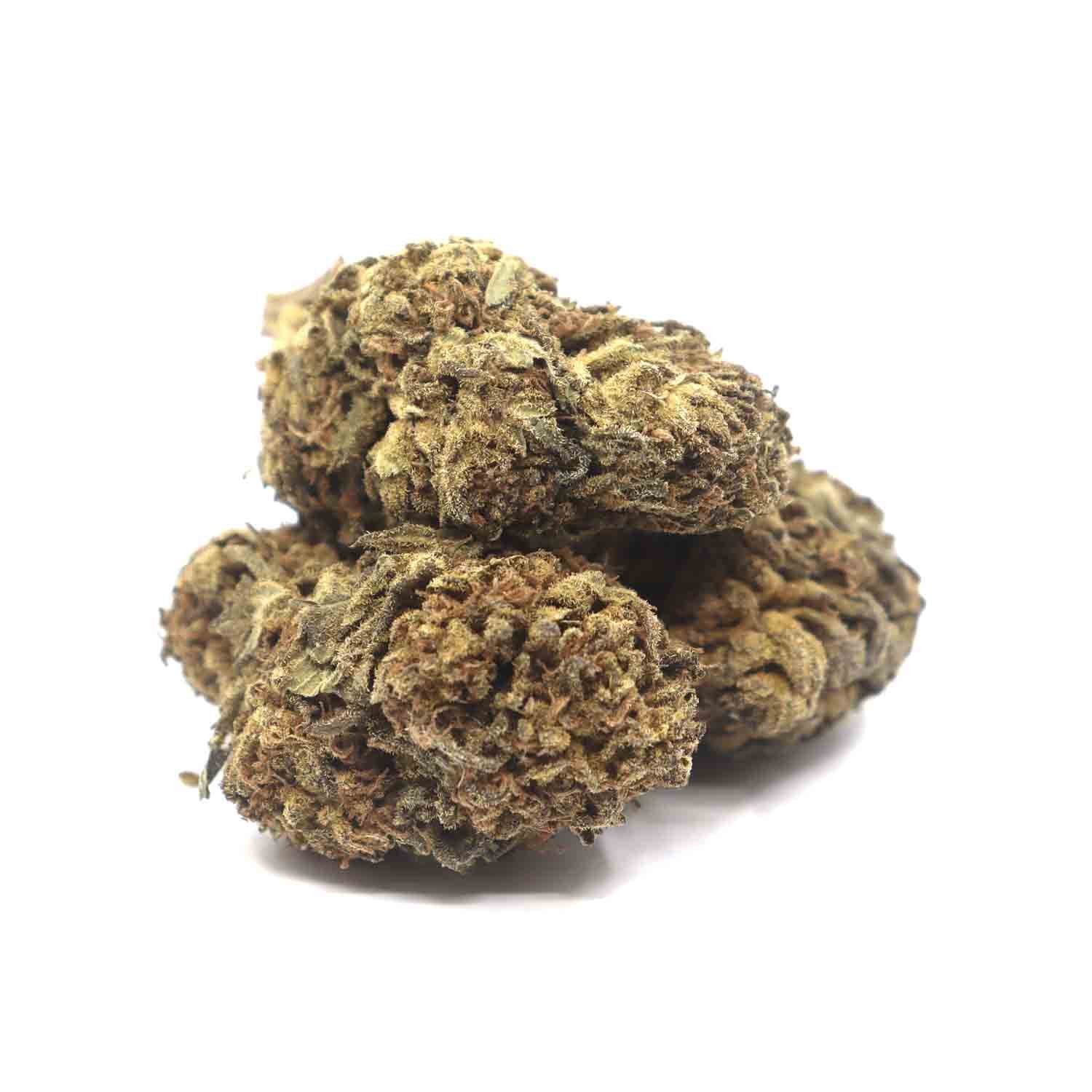 Space-monkey-Finished