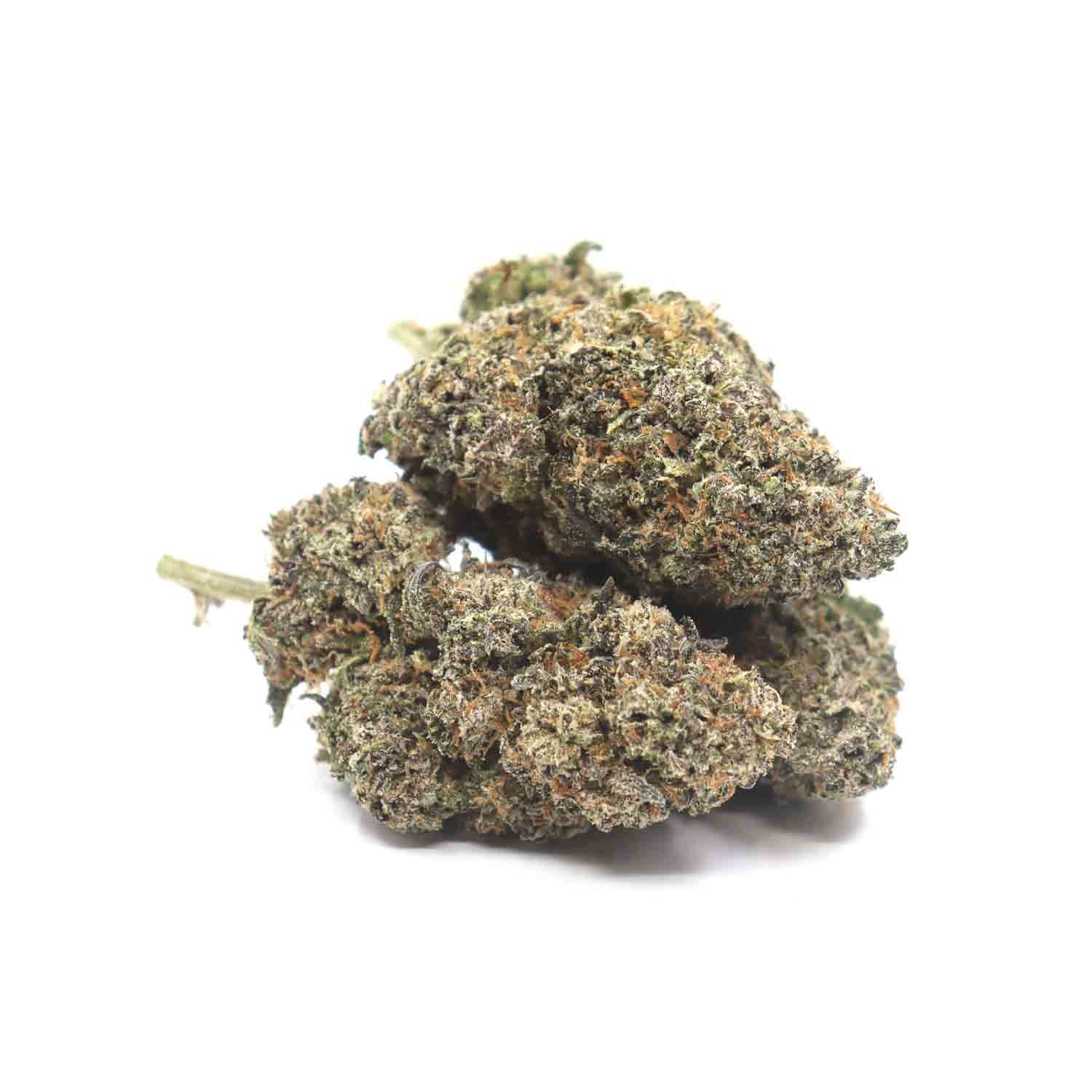 Tropic-thunder-Finished