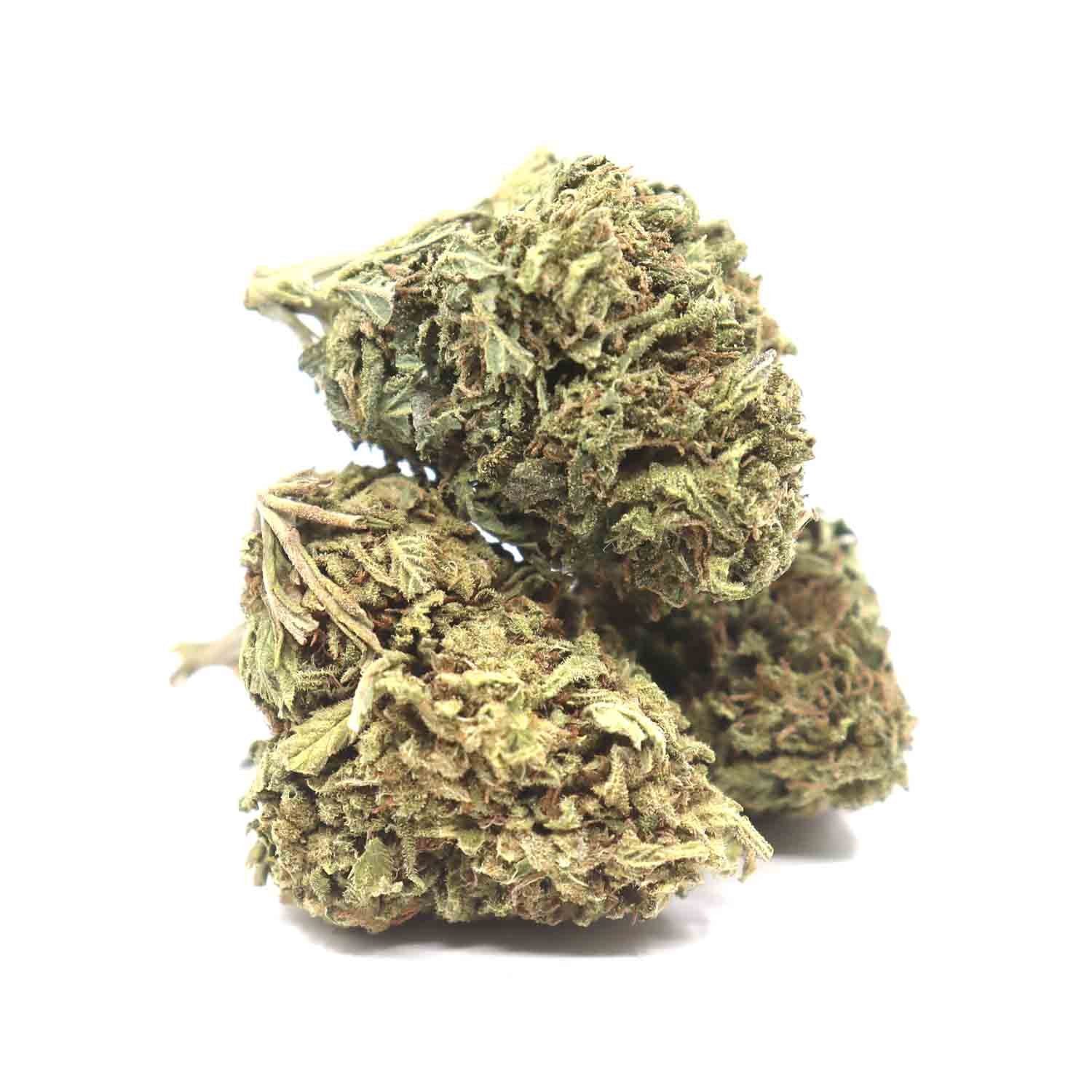 White-skunk-Finished