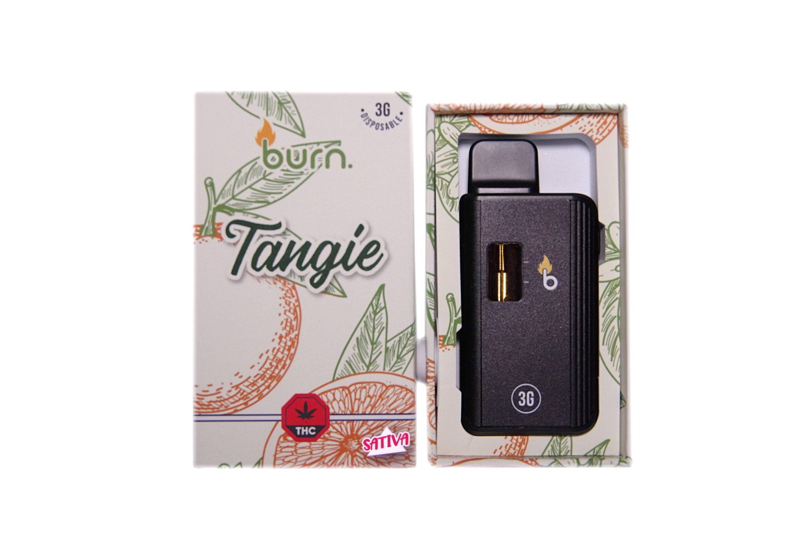 tangie-front-scaled-1-1