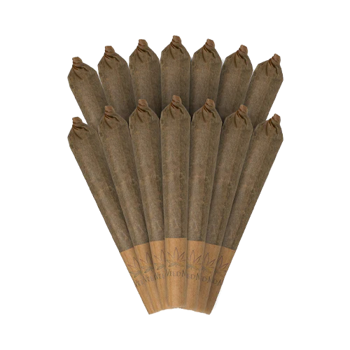 53252_b_500x_677991d6-0ba6-4565-a1ab-ed9bef6cc931